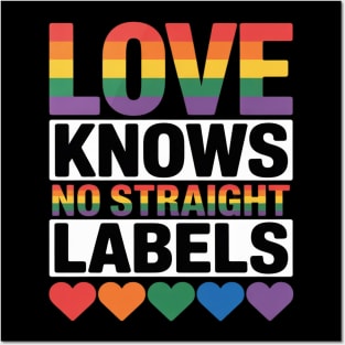 Love Knows No Straight Labels LGBT Gay Ally Queer Pride Posters and Art